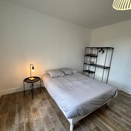 Apartment Cosy Avec Balcon Roanne